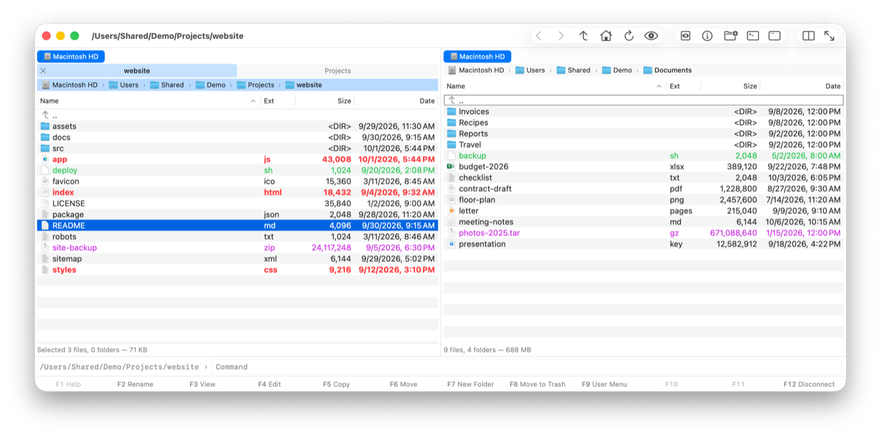 Axolotl Commander: two panels with path bars, tabs, marked files and the function key bar.